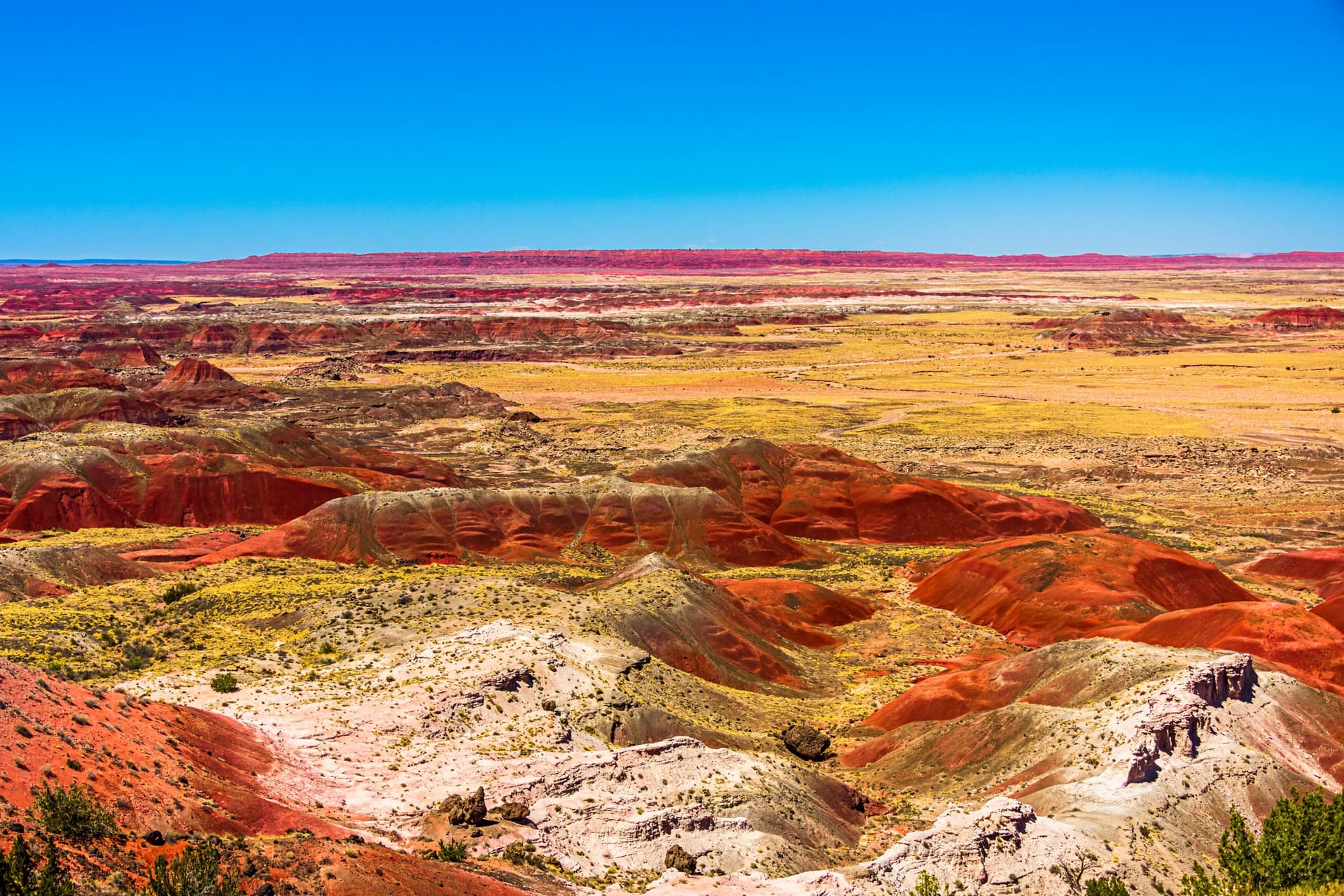 Il Painted Desert