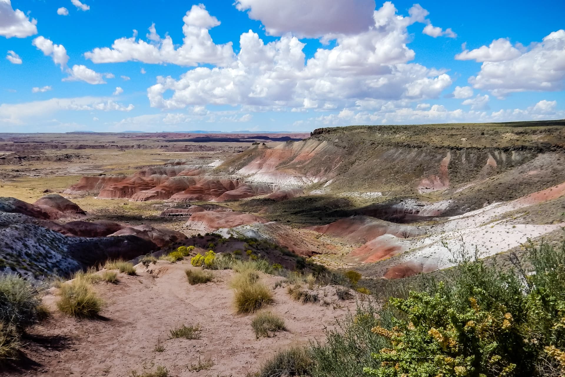 Parco Nazionale Petrified Forest