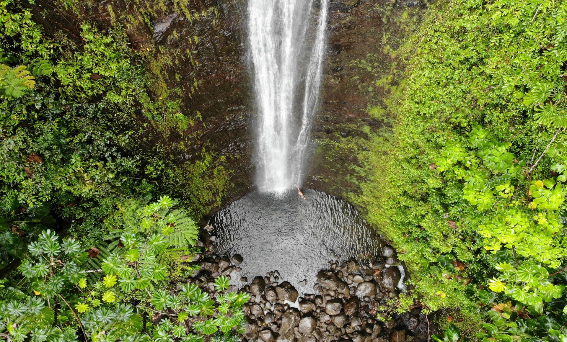 La maestosa cascata di Manoa: gioiello naturale di Oahu alle Hawaii